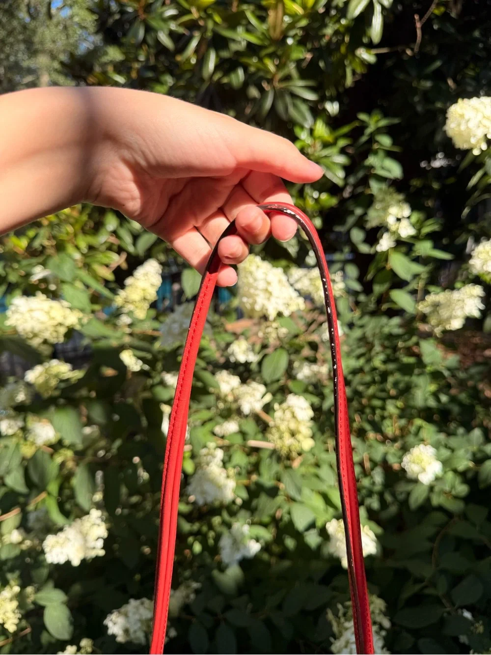 Coach Tan Signature Canvas Crossbody with Red Trim